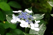DSCF3067_R