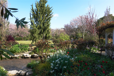 DSC06404_R