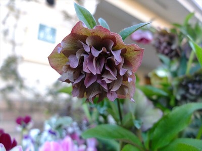 DSCF4773_R