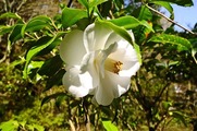 DSCF2043_R