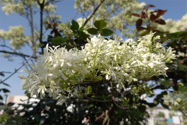 DSC06719_R