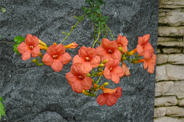 DSC09077_R