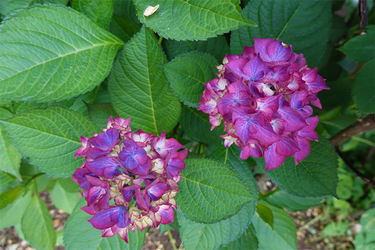 DSC08082_R