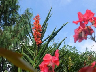 DSCF1482_R