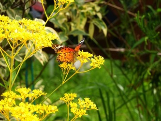 DSCF1618_R