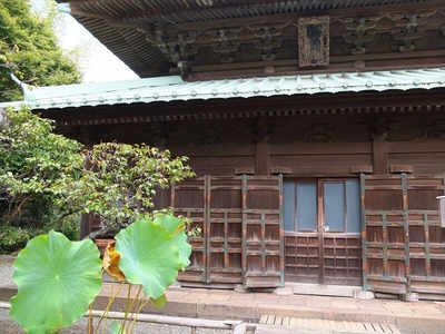 DSCF8557_R