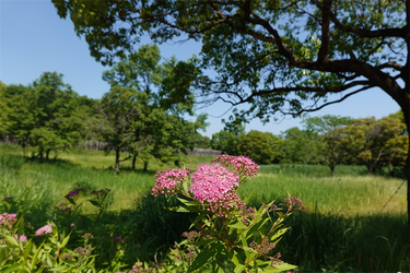 DSC07928_R