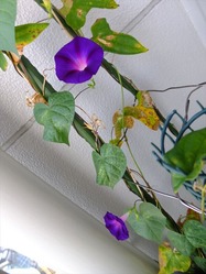 DSCF5997_R