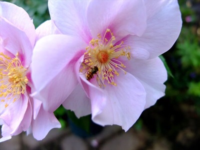 DSCF9314_R