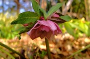 DSCF0423_R