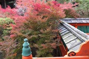 DSCF7684_R