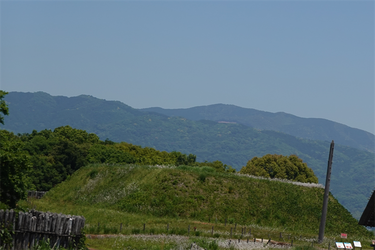 DSC07977 (1)_R