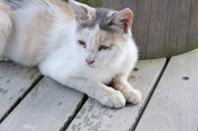 DSCF4175_R