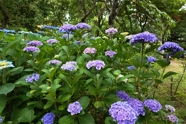 DSC08150_R