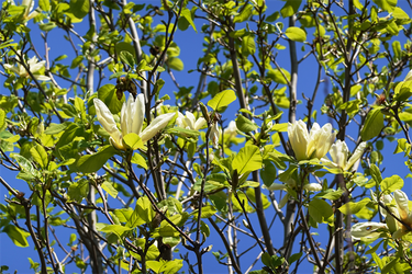 DSC06637_R