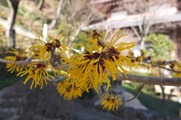 DSCF0725_R