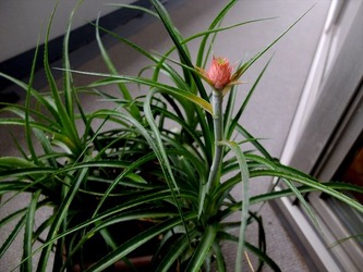 DSCF1811_R