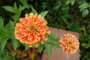 DSC08840_R