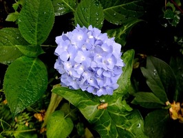 DSCF0139_R