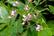 DSCF4603_R