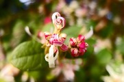 DSCF1723_R