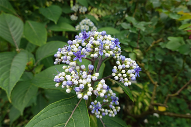 DSC08741_R