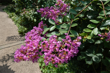 DSC08855_R