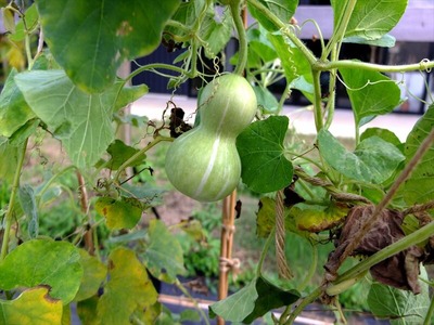 DSCF5516_R