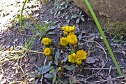 DSCF0838_R