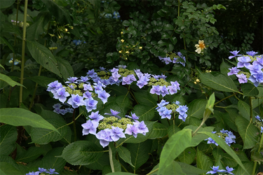 DSC08058_R