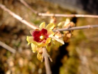 DSCF7748_R