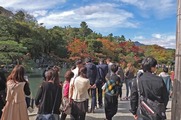 DSCF7936_R