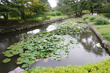 DSC09579_R