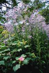 3de80cf9.jpg