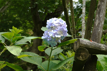 DSC09141_R