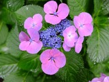 DSCF2434_R