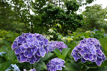 DSC08349_R