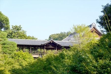 DSC02512_R