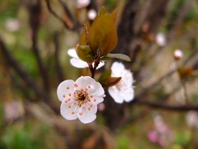DSCF1361_R
