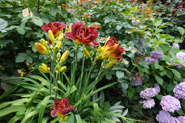 DSC08375_R