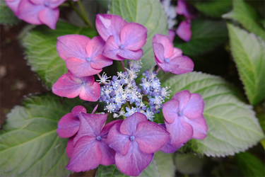 DSC08340_R