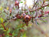 DSCF2540_R