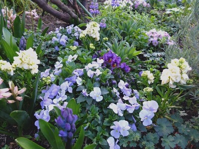 DSCF4689_R