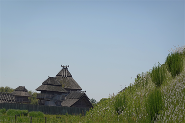 DSC07966_R