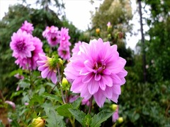 DSCF9745_R