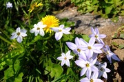 DSCF0537_R
