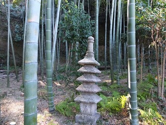 DSCF8436_R