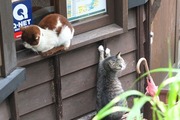 DSCF3912_R