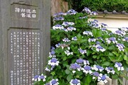 DSCF4632_R