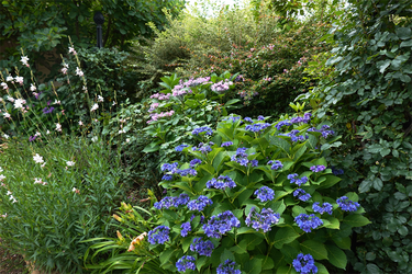 DSC08431_R